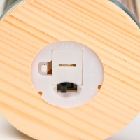 Ночник колба "Букет с розовым цветком" LED от батареек LR1130 8х8х23 см RISALUX Ночник колба "Букет с розовым цветком" LED от батареек LR1130 8х8х23 см RISALUX