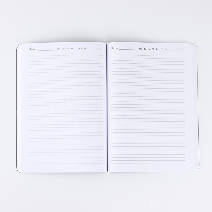 Ежедневник А5+, 100 л. Мягкая обл. Софт-тач "Власть и успех"