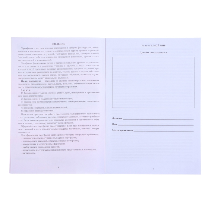 Папка "Портфолио ученика  5 - 9 класса", 8 грамот, А4