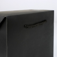 Пакет&mdash;коробка &laquo;Чёрный&raquo;, 28&times;20&times;13 см