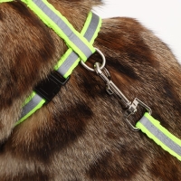 Комплект со светоотражающей лентой, ошейник 120 х 1 см, ОГ 26-40 см, зеленый