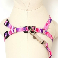 Комплект "Камуфляж", капрон, ширина 1см,шлейка 21-35 см,поводок 120 см, капрон, розов/фиолет