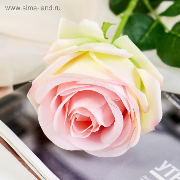 Цветы искусственные &laquo;Роза экспрессия&raquo;, 9.5&times;66 см, розовые