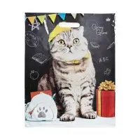 Пакет &laquo;Ученый кот&raquo;, полиэтиленовый с вырубной ручкой, 37.5&times;47.5 см, 50 мкм