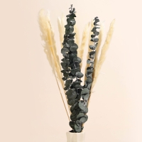 Букет из сухоцветов &laquo;Эвкалипт&raquo;, набор из 13 шт., высота 47 см