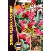 Семена цветов Адениум Pam Pam 3 шт.  12.29 г.