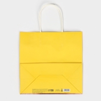 Пакет подарочный, упаковка, &laquo;Подарочек&raquo;, 22 х 22 х 11 см