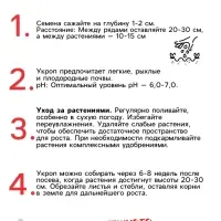 Семена Укроп &laquo;Супердукат ОЕ&raquo;, 2 г