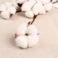 Декор сухоцвет &laquo;Хлопок&raquo;, h=30 см, d=5 см, белый