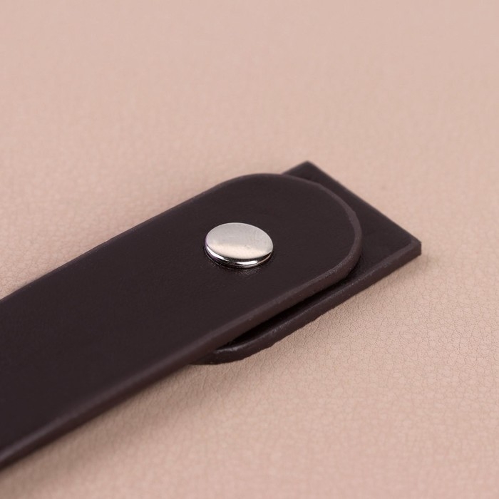 Застёжка пришивная для сумки, на кнопке, 15,5 &times; 2,5 см / 4,5 &times; 2,5 см, цвет коричневый/серебряный