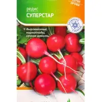 Семена Редис "Суперстар" 2 г