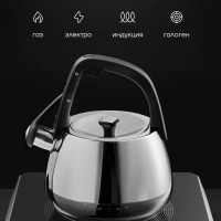 Чайник со свистком 2,5 л Mela-2,5L Серый нерж. стал