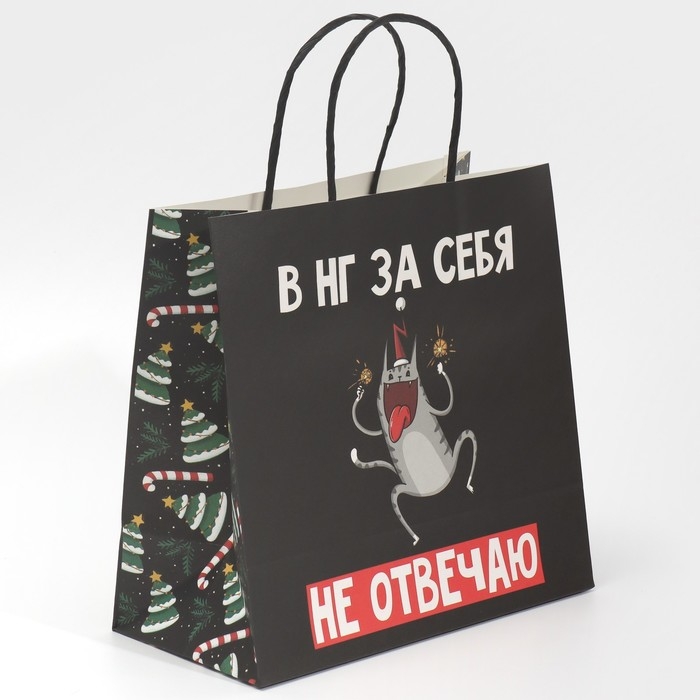 Пакет подарочный новогодний &laquo;Вообще не отвечаю&raquo;, 22 х 22 х 11 см