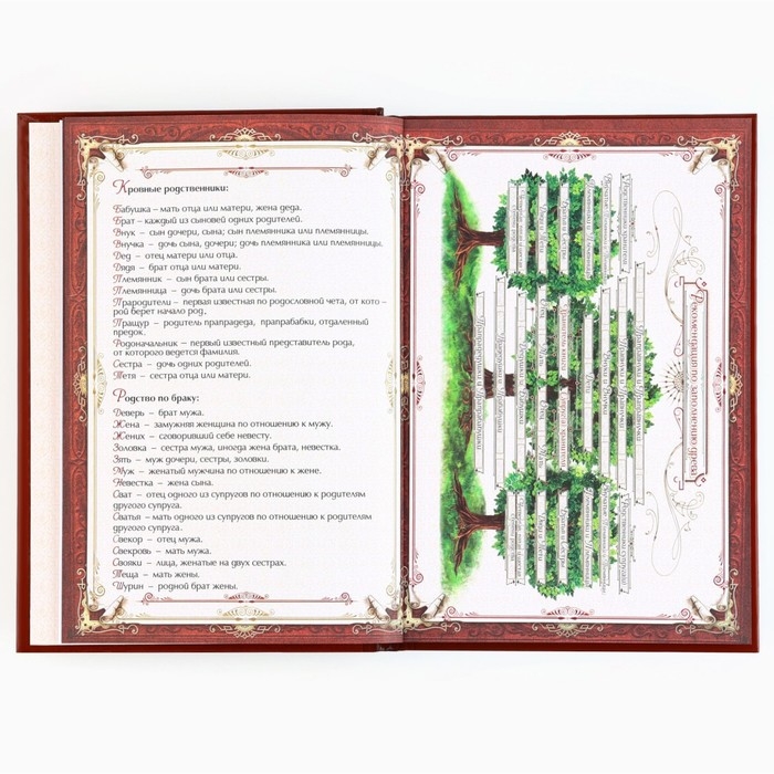 Родословная новогодняя книга с пером в шкатулке &laquo;Новый год: Каждый день&raquo;, 26 х 8 х 27 см, набор