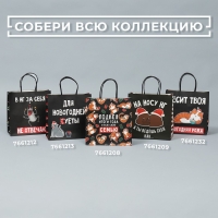 Пакет подарочный новогодний &laquo;Вообще не отвечаю&raquo;, 22 х 22 х 11 см