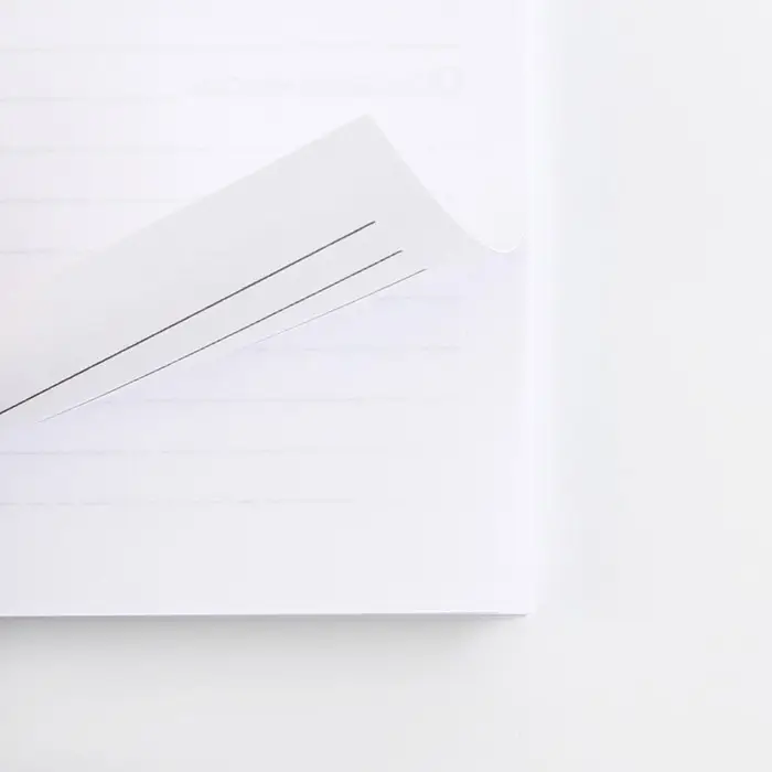 Читательский дневник &laquo;Корги&raquo;, мягкая обложка, формат А5, 24 листа.