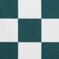 Сумка-переноска с органайзером и иллюминатором, 43 х 24 х 28 см, белая/зелёная Сумка-переноска с органайзером и иллюминатором, 43 х 24 х 28 см, белая/зелёная