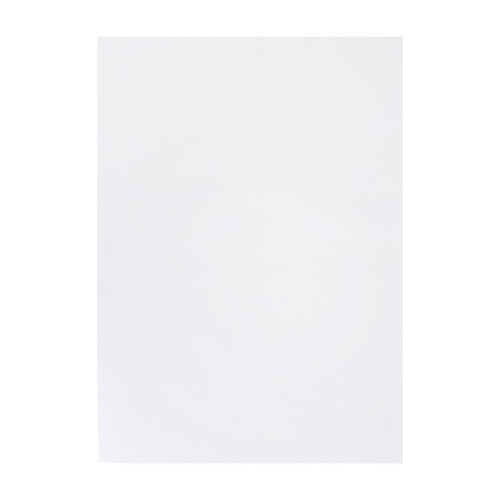 Бумага для пастели А4, 20 листов Бумага для пастели А4, 20 листов "Кот", блок 160 г/м2, в папке