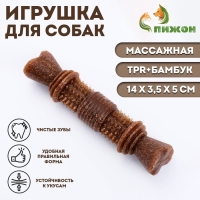 Игрушка для собак "Шипастая кость", TPR+Бамбук, массажная,14 х 3,5 х 5 Игрушка для собак "Шипастая кость", TPR+Бамбук, массажная,14 х 3,5 х 5