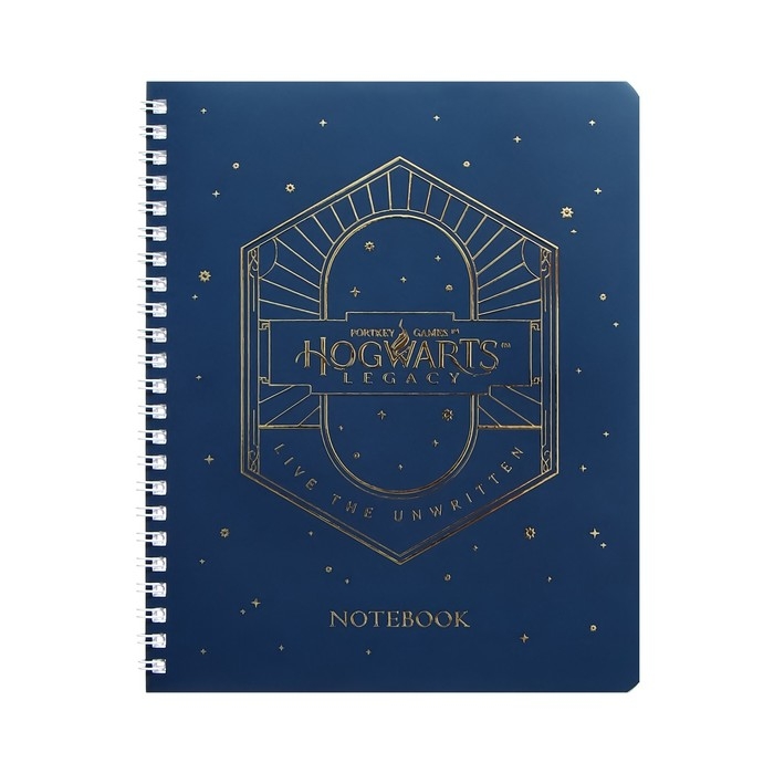 Тетрадь 48 листов в клетку на гребне Тетрадь 48 листов в клетку на гребне "Гарри Поттер", обложка мелованный картон, матовая ламинация, 3D фольга, блок офсет, 4 вида МИКС