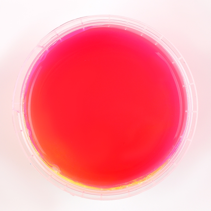 Слайм &laquo;Зефирка&raquo;, цвет жёлтый и маджента, 100 г