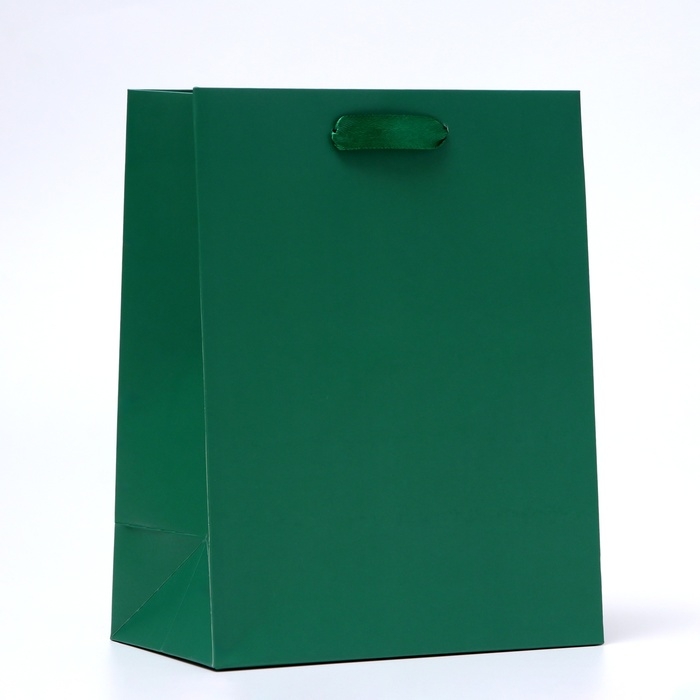 Пакет ламинированный &laquo;Зелёный&raquo;, 18 х 23 х 10 см МИКС