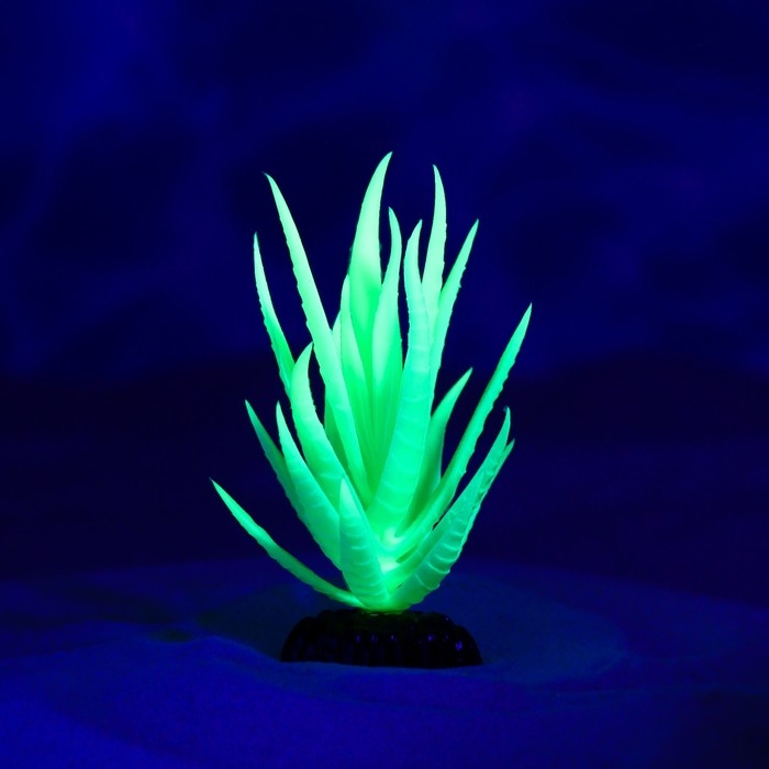 Растение искусственное аквариумное, светящееся, 10 см, зелёное Растение искусственное аквариумное, светящееся, 10 см, зелёное