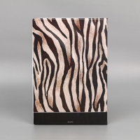 Папка для документов &laquo;Docs&raquo;, 8 файлов А4