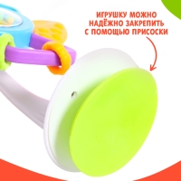 Развивающая игрушка &laquo;Маленький цветочек&raquo;, с прозевателем, на присоске