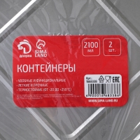 Набор форм из фольги для запекания и выпечки Доляна, 2,1 л, 31,5&times;22&times;5,5 см, 2 шт
