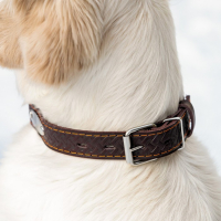 Ошейник кожаный тисненый однослойный с табличкой, 60 х 3 см, ОШ 45-57 см, коричневый Ошейник кожаный тисненый однослойный с табличкой, 60 х 3 см, ОШ 45-57 см, коричневый