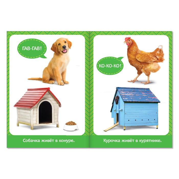 Обучающий блок «Школа талантов», 0-1 год, 16 стр. Обучающий блок «Школа талантов», 0-1 год, 16 стр.