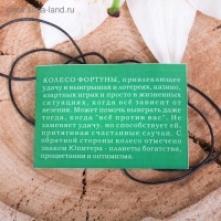 Амулет &laquo;Колесо фортуны&raquo;, 68 см