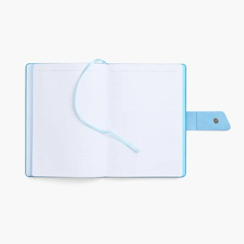 Ежедневник Boom, недатированный, черный с голубым