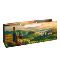 Пакет под бутылку горизонтальный &laquo;Подарок для тебя&raquo;, 36 &times; 10 &times; 13 см