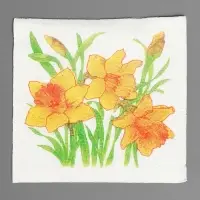 Салфетки бумажные Гармония цвета многоцветие "Нарциссы желтые", 24*24 см 50 листов