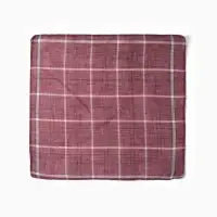 Платки носовые мужские Экономь и Я "Клетка" 38*38 см, (набор 10 шт), рис. МИКС,100% пэ