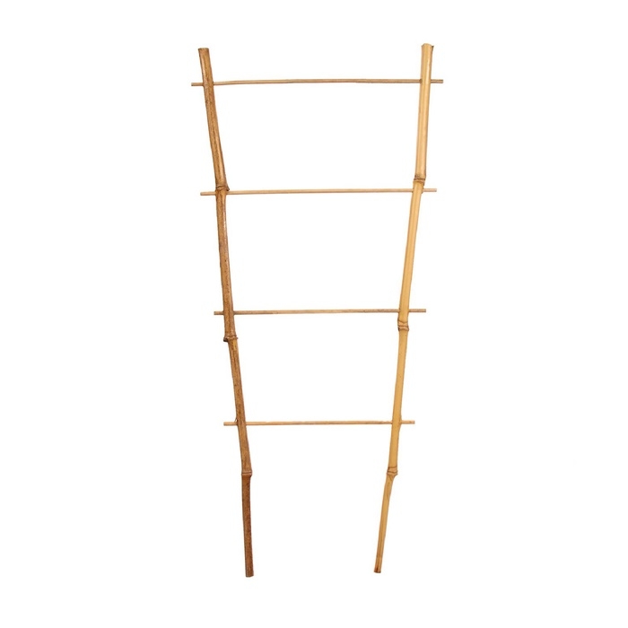 Шпалера, 60 &times; 20 &times; 1 см, бамбук, &laquo;Одинарная&raquo;, Greengo