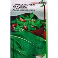 Семена Горчица  салатная Ладушка 350 шт