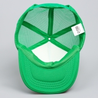 Кепка детская для мальчика &laquo;Крутой дино&raquo;, р-р 52-54, 5-7 лет