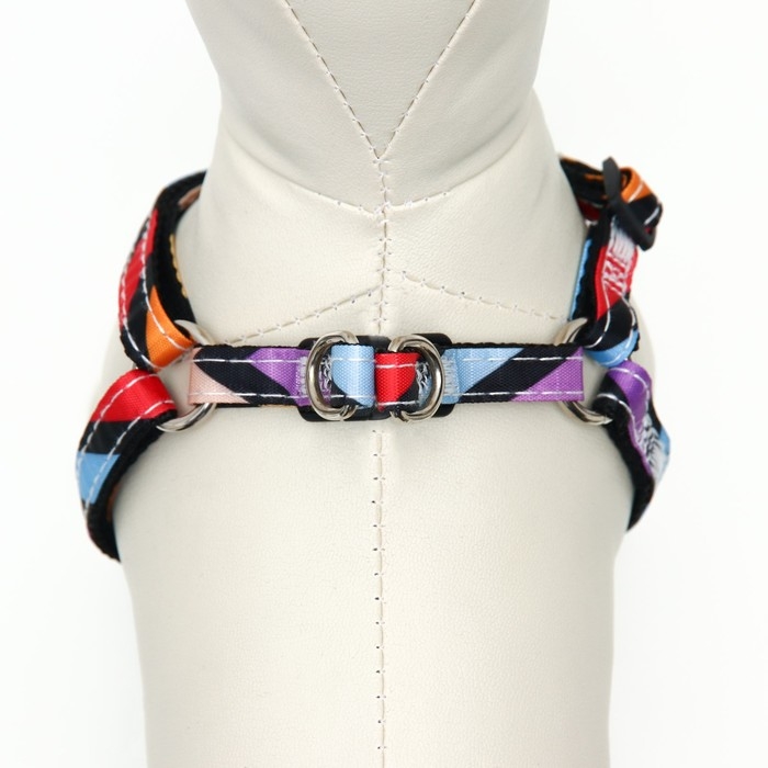 Комплект амуниции двухслойный, S, поводок 120х1 см,ОШ 24-38 ОГ 29-41 см, разноцветные полосы   96837