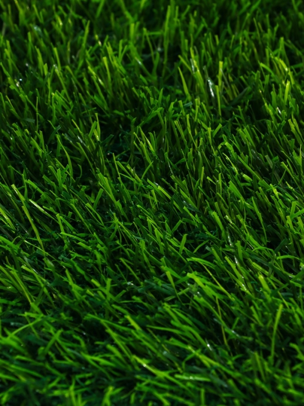 Газон искусственный, с проклейкой, высота 4см, 15иг, 2 х 25 м, зеленый, "Greengo"