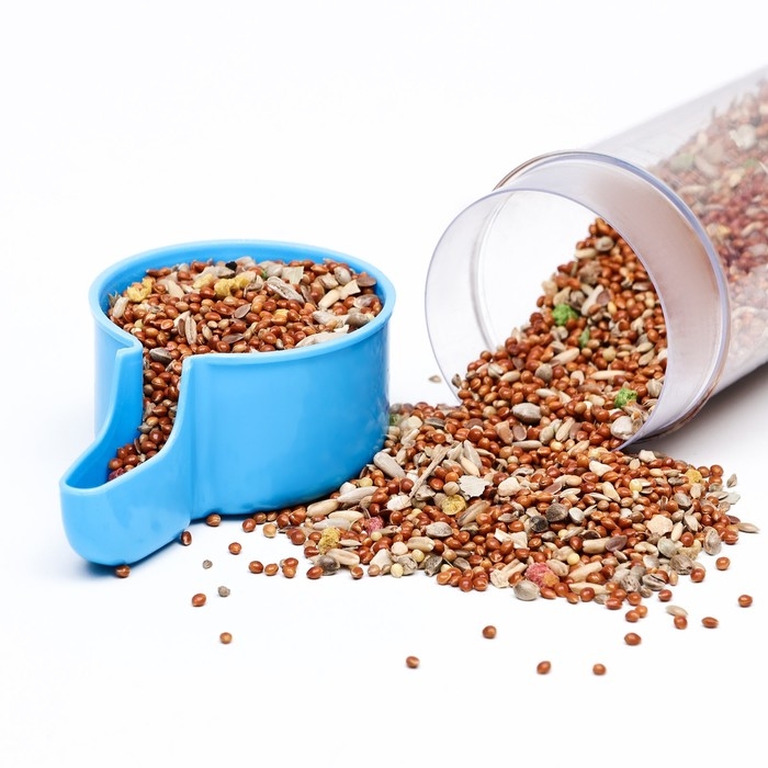 Поилка для птиц 6 х 13,5 см, 240 мл, синяя/белая