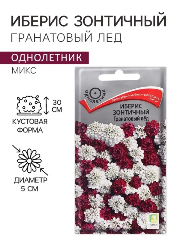 Семена цветов Иберис зонтичный "ганатовый лед", 0,1 г