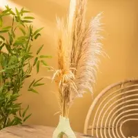 Ваза терракота "Флорина" 18х10х25 см