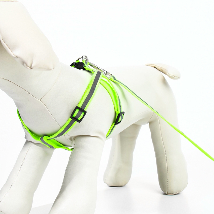 Комплект со светоотражающей лентой, ошейник 120 х 1 см, ОГ 26-40 см, зеленый