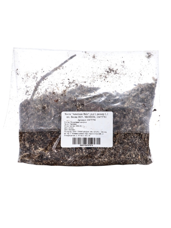 Хоста "American Halo", р-р I, размер L,1 шт, Весна 2025, ЭКОНОМ,