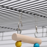 Игрушка для птиц "Лесенка с бусинами", 43 см, микс цветов Игрушка для птиц "Лесенка с бусинами", 43 см, микс цветов