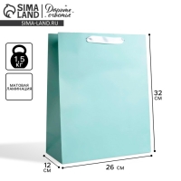 Пакет подарочный, упаковка, &laquo;Мятный&raquo;, 26 х 32 х 12 см