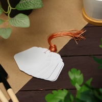 Бирки садовые для маркировки, 6,5 &times; 5 см, набор 20 шт., пластик, белые, Greengo